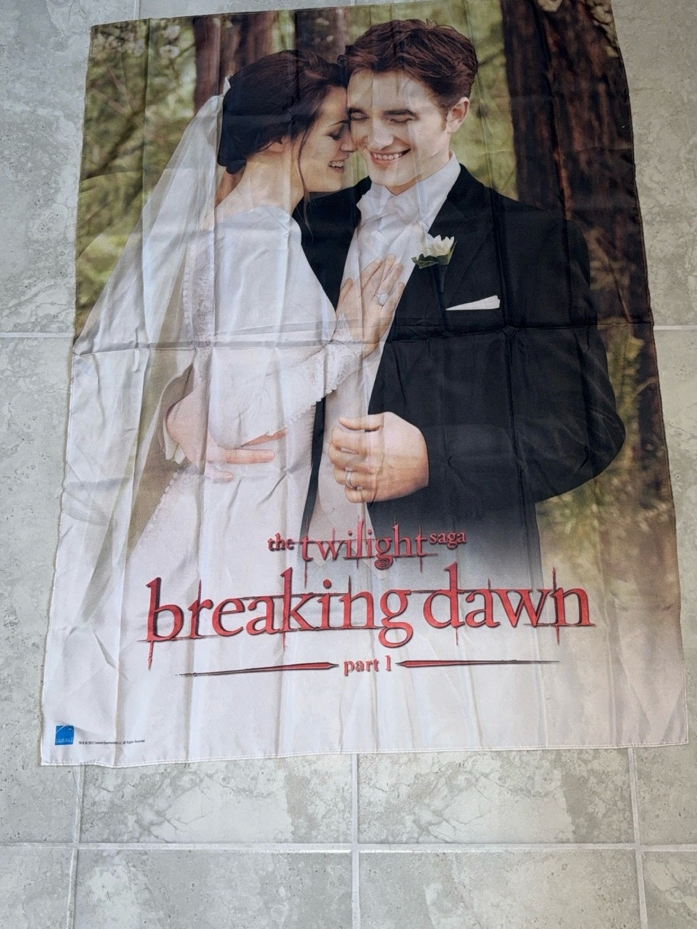 Breaking Dawn Part 1 banner
